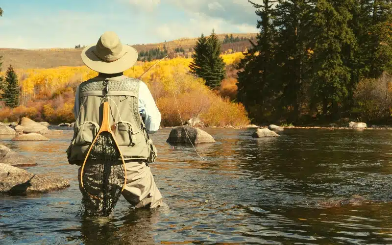 Fly Fishing in New Mexico