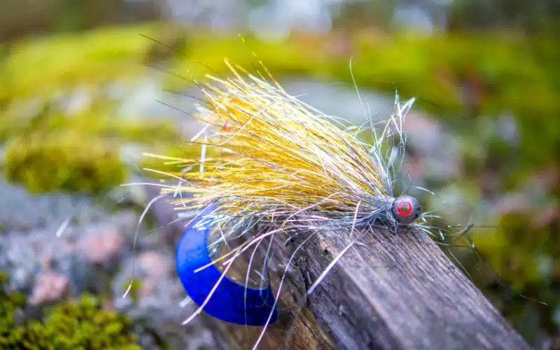 What Is a Streamer in Fly Fishing