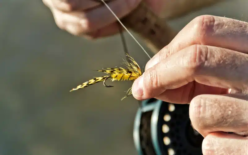 What Is a Tippet for Fly Fishing