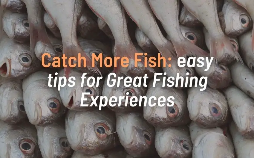Catch More Fish (Easy tips for Great Fishing Experiences!)