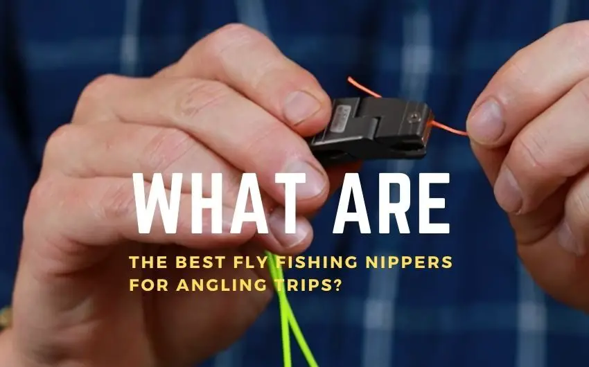 Best fly fishing nippers of 2021 & Reviews)