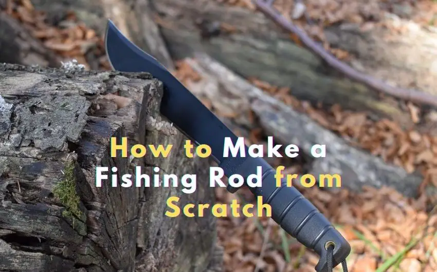 How to Make a Fishing Rod in the Wild (3 Simple steps)